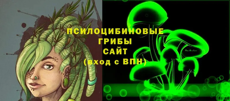 Галлюциногенные грибы Psilocybe Завитинск